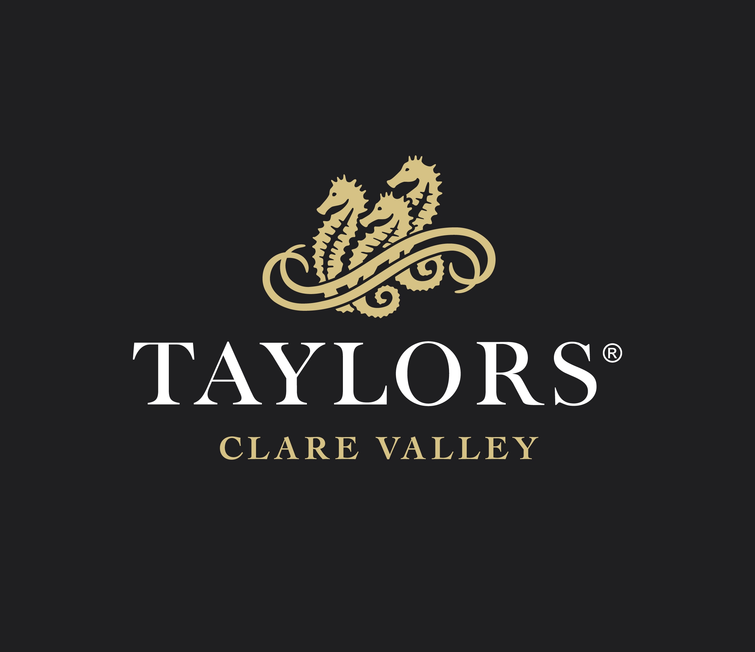 https://www.seoforsmallbusiness.com.au/wp-content/uploads/2021/06/Taylors-Wines.jpg